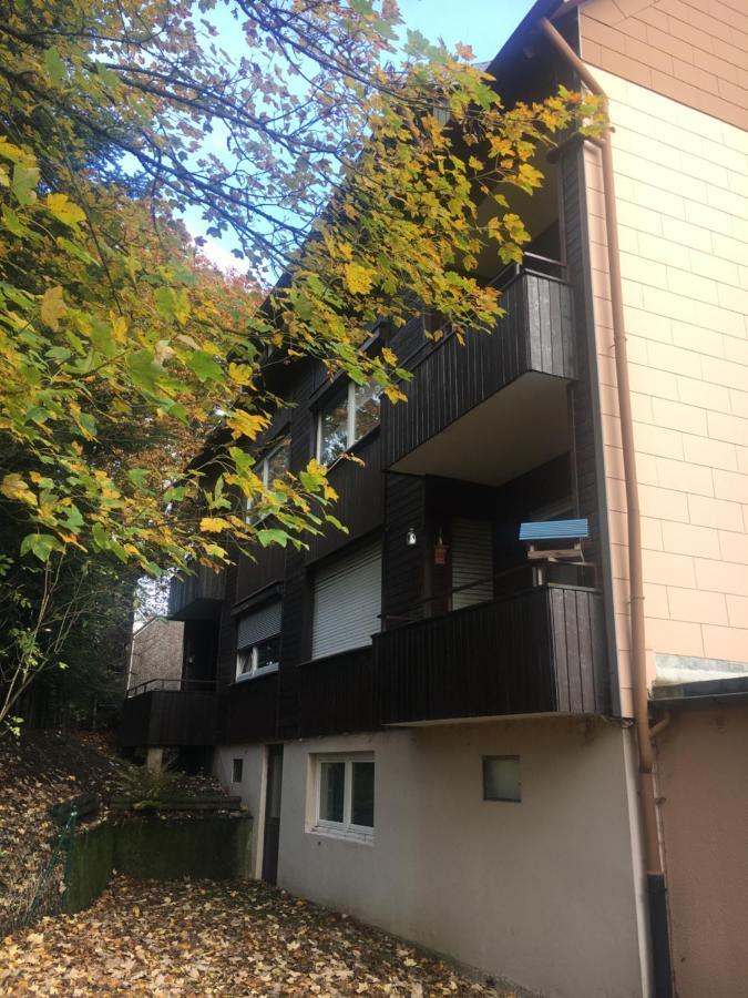 Ferienwohnung Fuchsbau Goslar Eksteriør bilde